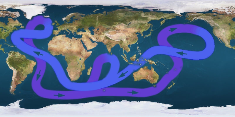 Circulation thermoaline : les grands courants océaniques © Luiz Fernandez Vargas