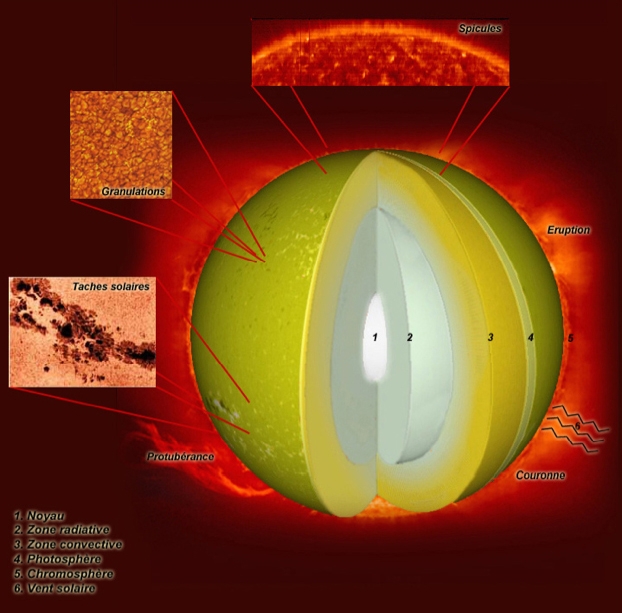 Schéma représentant les différentes parties du Soleil © P. Volvert/S. COX